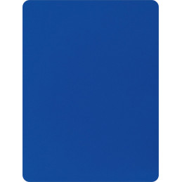 Erima Blaue Karte