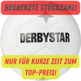 Derbystar Brillant TT Classic (Trainingsball)