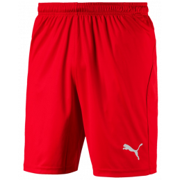 Puma Liga Junior Shorts...